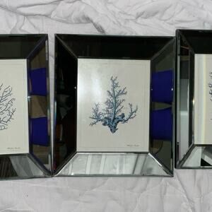 3 BLUE CORAL PRINTS MIRRORED FRAMES 14x12 IN